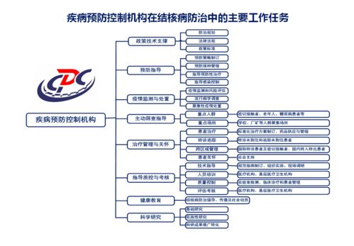 图图是道系列（二） 一图画出结核病防治机构的工作任务